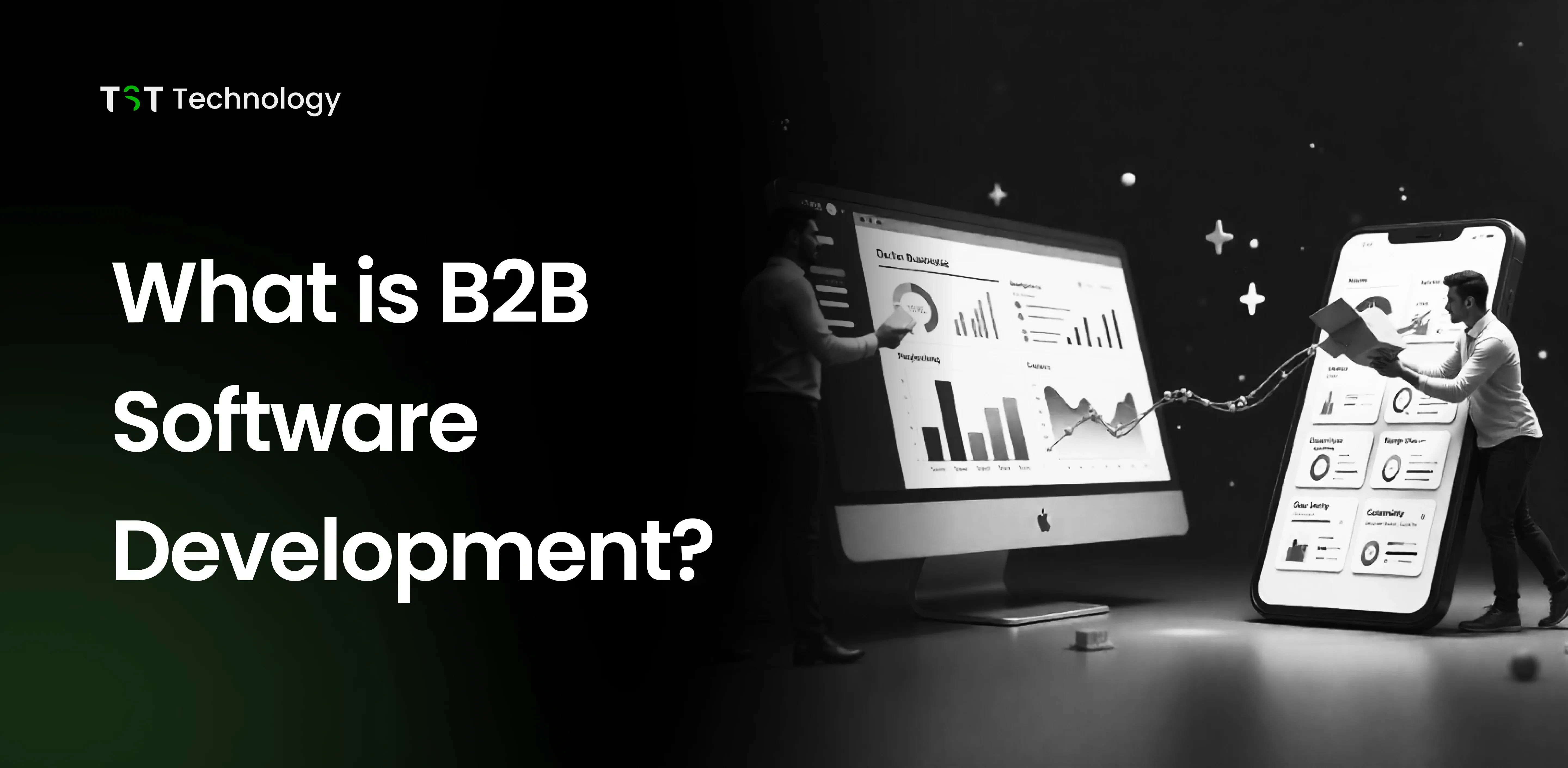 What is B2B software development